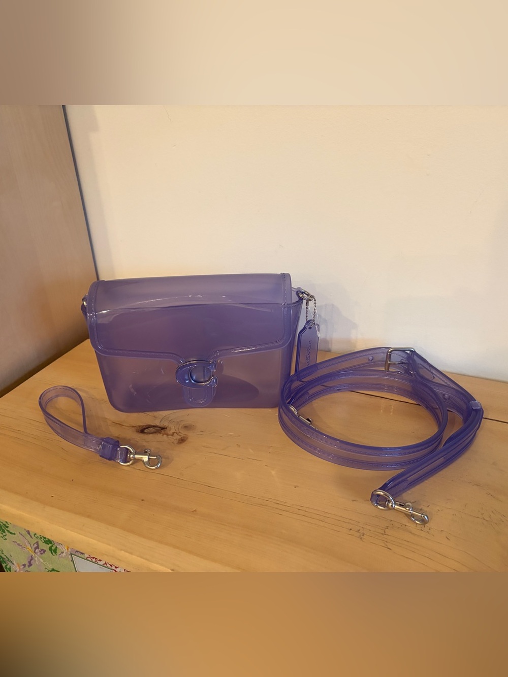 EUC Coach Jelly Tabby Purple Clear Crossbody Bag - Women